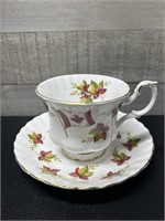 Royal Albert From Sea To Sea Cup & Saucer