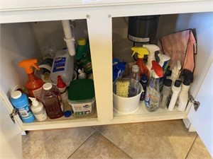 Content of Under Sink Cabinet
