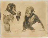 8x10 Two Chimps labeled "Roland Bullter Fri M