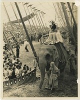 8x10 Woman riding elephant in front of audience