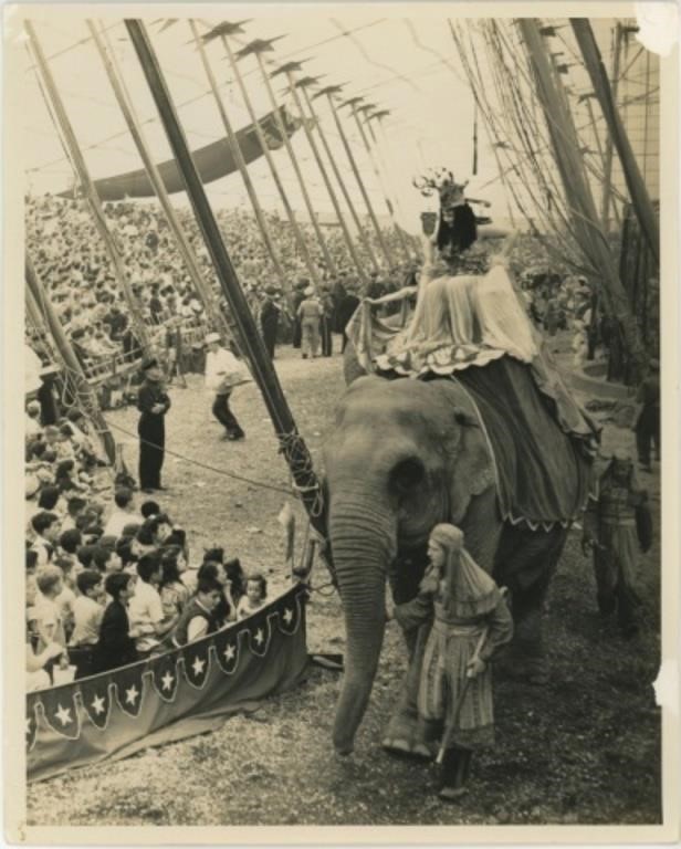 Vintage Circus Photos, Ephemera and Puppets Auction