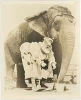 8x10 Felix Adler clown with elephant Chester photo