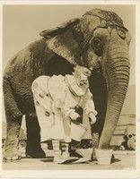8x10 Felix Adler clown with elephant Chester photo