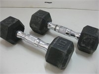 Pair 10lb Dumbbell Weights Untested