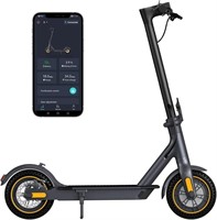 Electric Scooter 10" Solid Tires 600W