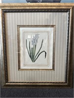 Framed hyacinthvs Kron Vogel framed art