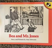 Bea and Mr. Jones Book