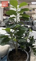 Faux Fiddle Leaf Fig Plant in 23” h Black Flower