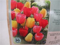 50-Pc Tasc Tulipa Darwin Hybrid Assorted Bulbs