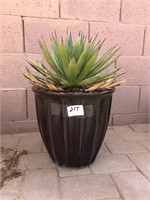 Ceramic Planter / Succulent