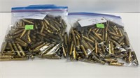 Brass 308 Gauge (300) cases