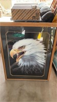 Eagle picture