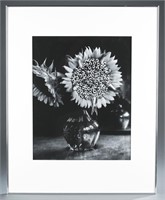 Michiko Kon, "Sunflower and Sardines," 1990, photo