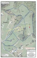 Tract #4: 9.11 Acres +/- with Small Pond