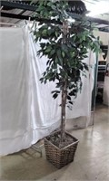 Artificial Ficus Tree 5'