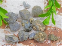 ELLENSBURG AGATE ROCK STONE LAPIDARY SPECIMEN