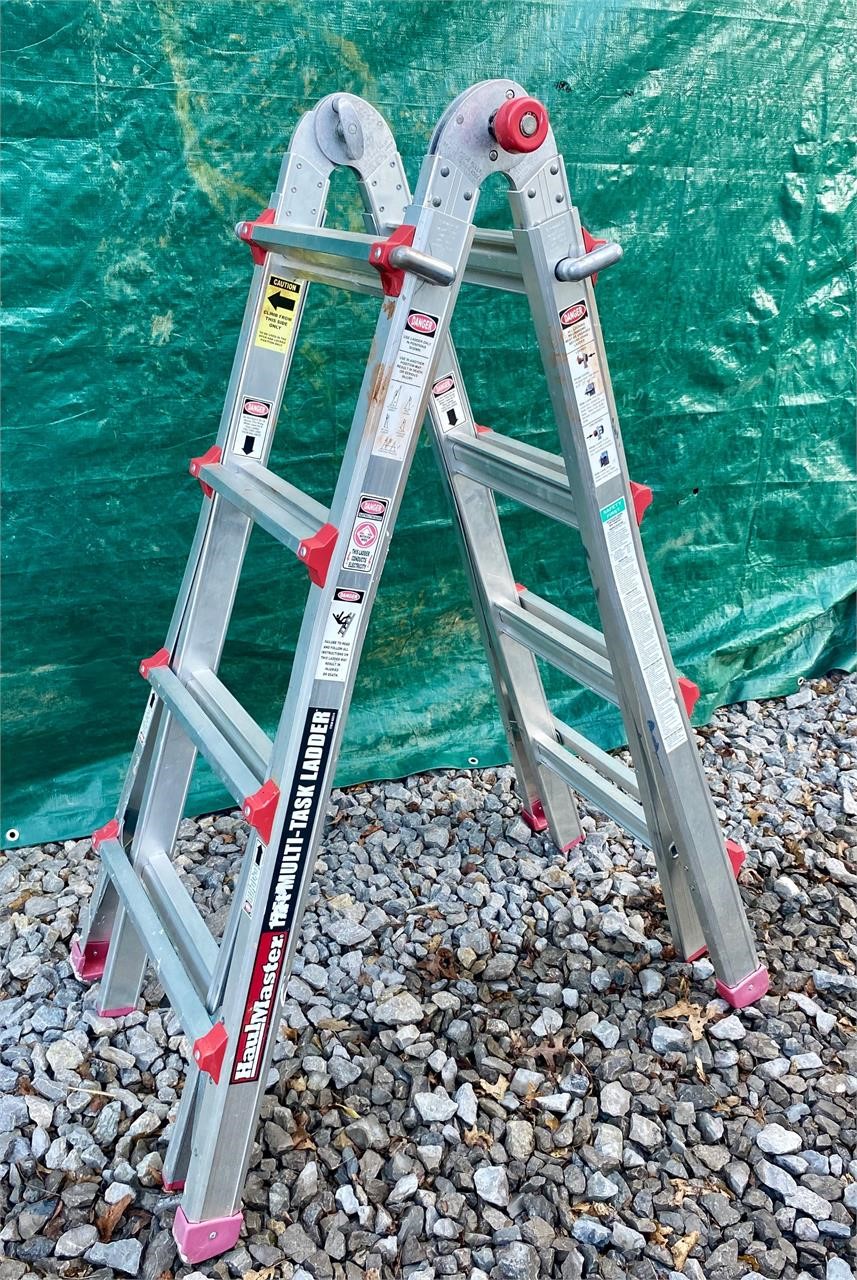 Multi task ladder