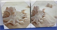 Wall Art Pair Of Sea Shell Canvas Art 12x12