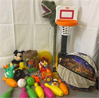 Mini Basketball Hoop & Other Toys