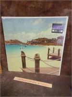 18" x 18" Island Vacation Poster Picture