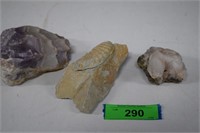 Fossil, Crystal & Rock