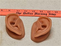 2001 3B Scientific GmbH ears