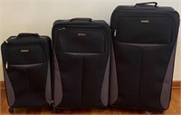 3 Pc Protege Luggage Set