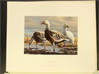 US Duck Prints Minnesota Lithographs, 10 different