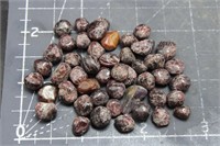 42g Polished Idaho Star Garnets