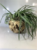 Fur wood root plant pot w/ faux plant