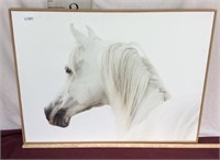 Horse Giclée on Canvas Artwork