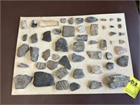 Pottery Shards & Native American Artifacts