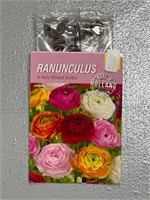 Ranunculus