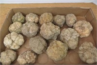 Lot of 16 Geodes 2"-3 l/2"