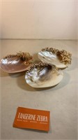 Decorated Sea Shell Lot