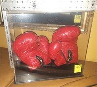 PAIR OF BOXING GLOVES IN DISPLAY BOX