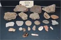 Assorted Fossils & Stones