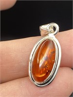 Amber, Baltic, Natural, Collectible, Inclusions, J