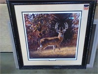 Deer picture framed "In The Open "