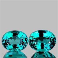 Natural Paraiba Green Blue Apatite Pair (Flawless-