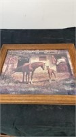 16”x13” framed horse picture