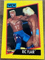 1991 Ric Flair WCW #46