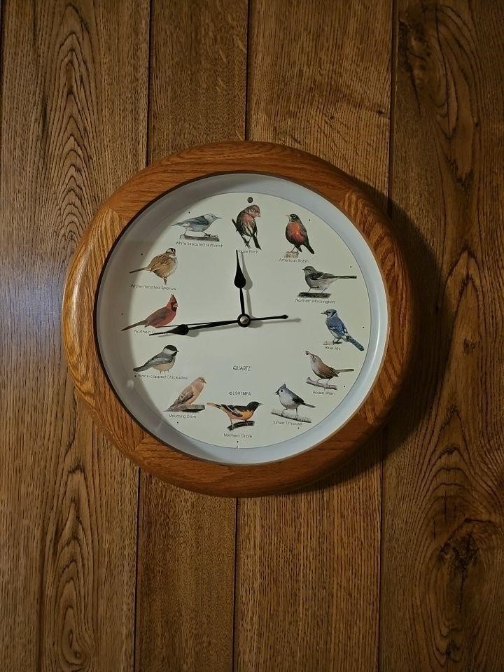 Birds clock