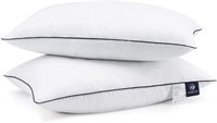 2 Pack Queen Size 20 x 30 Inches Pillows