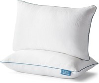 LUCID Shredded Memory Foam Pillow - 2 Pack - Queen