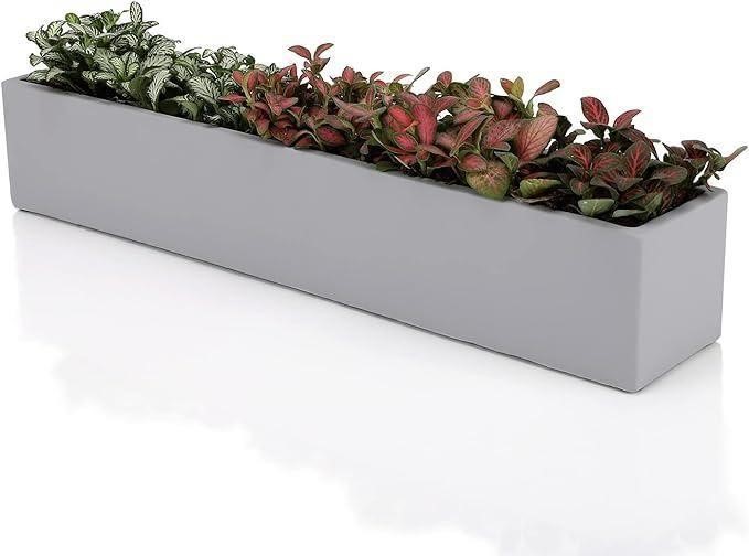 Modern Succulent Planter Box - 32" Rectangular