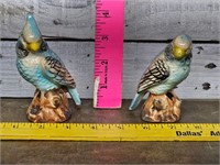 Vntg parrot S&P shakers