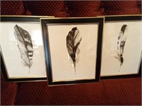 3 Frames with Painted Feathers