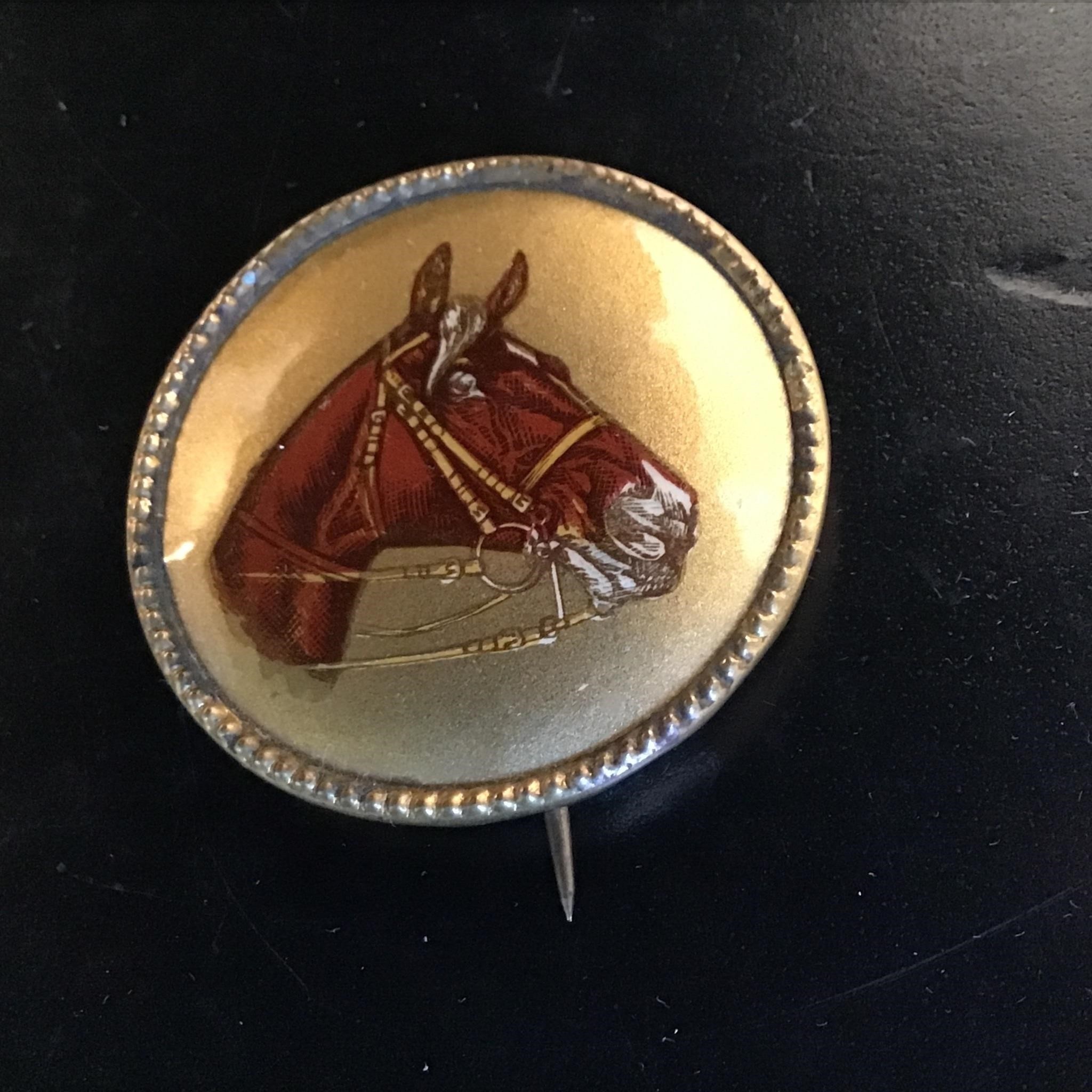 EQUESTRIAN PIN