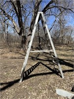 Werner 10 foot step ladder